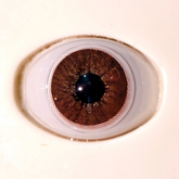 Lumiere Brown Colored Contact Lenses – Glamji PureLine (1-Year)