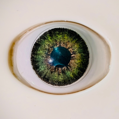 Pale Green Colored Contact Lenses – Glamji Signature Series