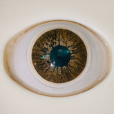 Avela Brown Colored Contact Lenses