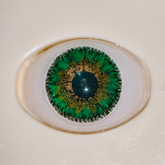 Cool Green Colored Contact Lenses – Glamji Signature Series