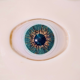 Jade Green Colored Contact Lenses