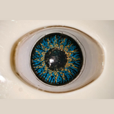 Glamji Regular Wear – Blue (1 Month Use)