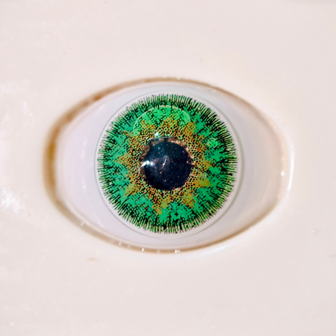 C. Green Colored Contact Lenses – Glamji PureLine (1-Year)