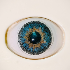 C Platinum Colored Contact Lenses – Glamji PureLine (1-Year)