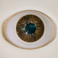 Avela Brown Colored Contact Lenses