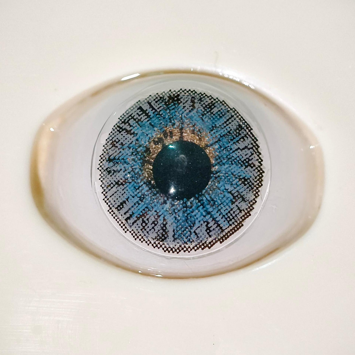 Glamji Regular Wear – ST Gray (1 Month Use)