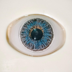 Glamji Regular Wear – ST Gray (1 Month Use)