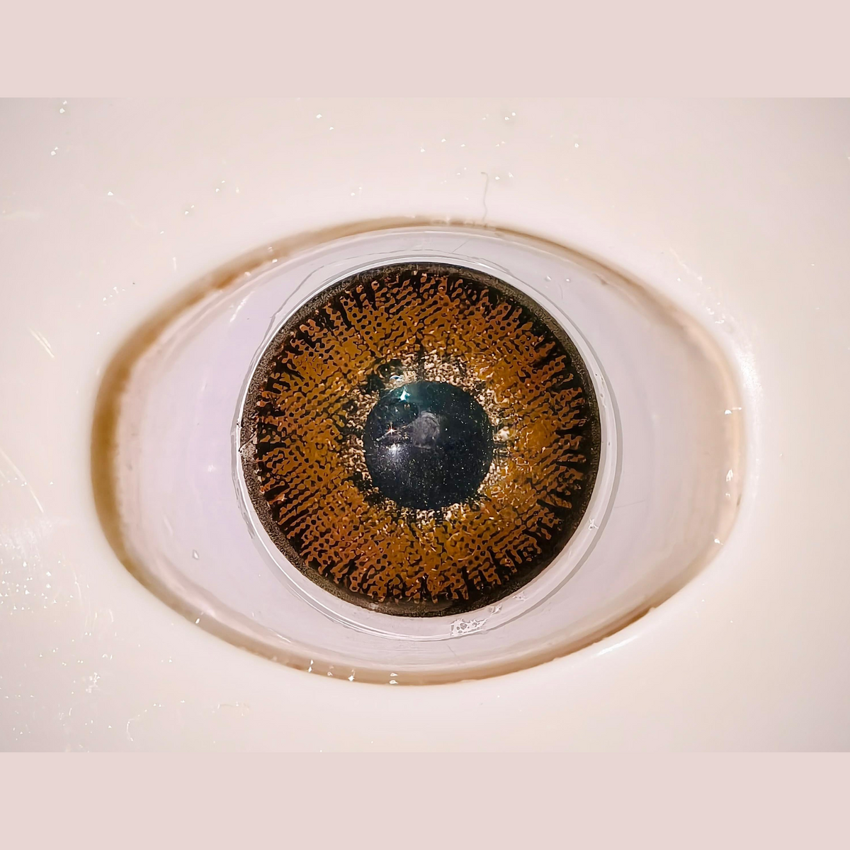 Glamji Regular Wear – Mistic Hazel (1 Month Use)