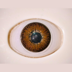 Glamji Regular Wear – Mistic Hazel (1 Month Use)