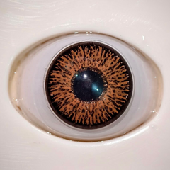 Glamji Regular Wear – Medium Brown (1 Month Use)