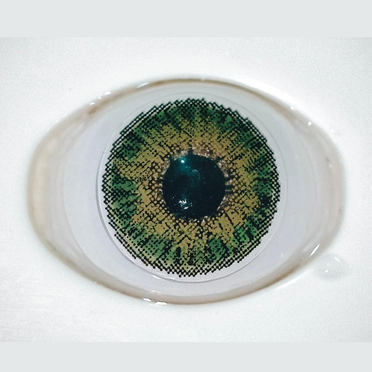 Glamji Regular Wear – Green (1 Month Use)