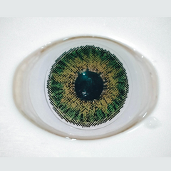 Glamji Regular Wear – Green (1 Month Use)