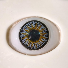 Glamji Regular Wear – TickTok Gray (1 Month Use)